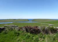 Garden with Foula on the horizon