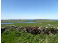 Garden with Foula on the horizon