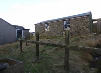 Shed from Back Door