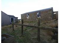 Shed from Back Door