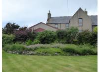 Front Garden - (1)